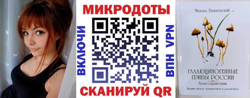 Галлюциногенные грибы Psilocybine cubensis  omg как войти  Тында  купить закладку 