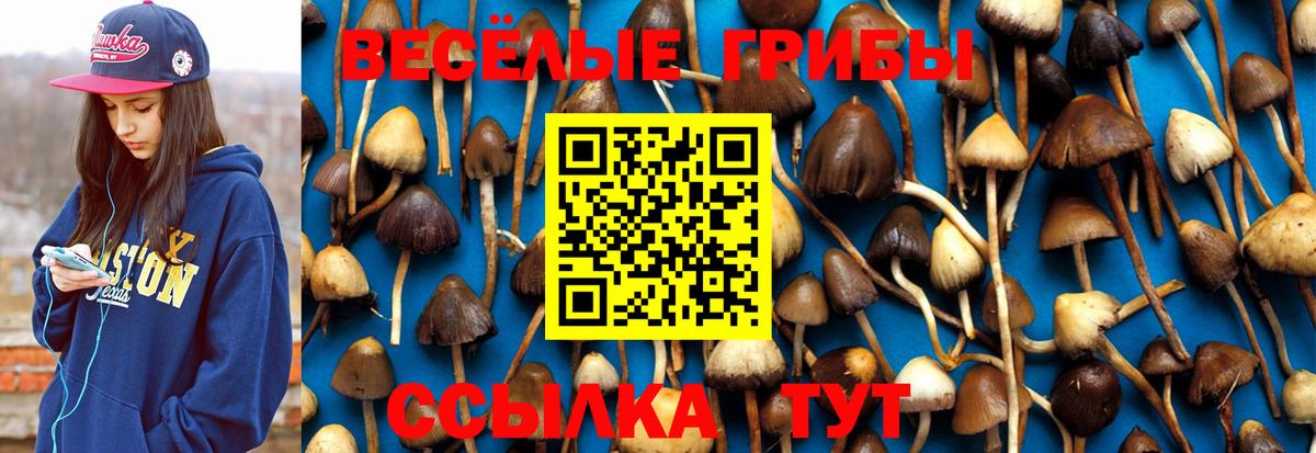 Галлюциногенные грибы прущие грибы Тында